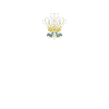 Cymru Am Byth
