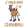 j'peux pas j'ai chameaux