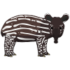 Babytapir