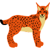 Vecteur avant tête de Lynx
