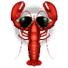COOL LOBSTER