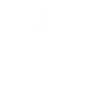 Ludique Chat (Blanco)