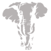 Eléphant