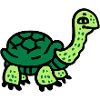 Tortoise 3