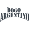 Dogo Argentino