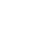 white world map