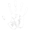 white hand