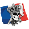 Fanshirt-Frankreich