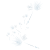 Pusteblume Design 2