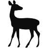 Hind