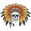 Indian Skull