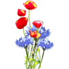 Kornblume Mohn-Collage-
