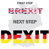 DEXIT - T-Shirt