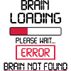 brain loading error