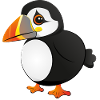 puffin