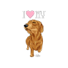karkkislove3