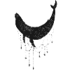 Celestial whale