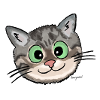 Kätzchen Lissy (smiling)