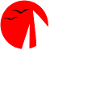 Sailing Black