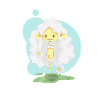 Daisy flower