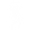 qualle-white
