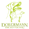 Dobermann TheBetterDog