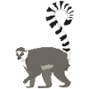 Katta