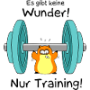 Keine Wunder - nur Training