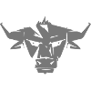 Stier