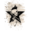 Rock-n-Roll Skull - bleached