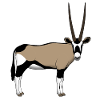 Oryx head front