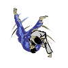Judo