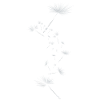Pusteblume Design 3