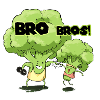 Bro Bros