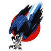 Osprey Turbo Hawk