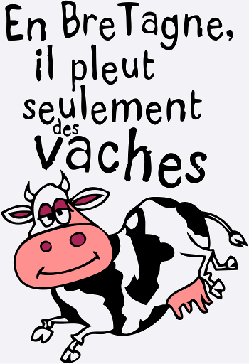 bretagne pleut vache bretonne