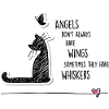Cat angels