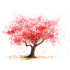 Kirschbaum
