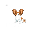 diamondpapillon