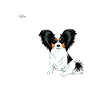 diamondpapillon3