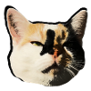 Lumi Cat