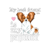 papillonfriend