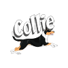 nahkacollie2