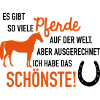 Schönstes Pferd