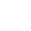 Writer