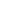 Berner Beschreibung