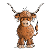 Scottish Highland Cattle