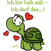 Thoddys Schildkröte