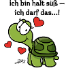 Thoddys Schildkröte