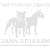 (130) Staff Bull & Bull Terrier
